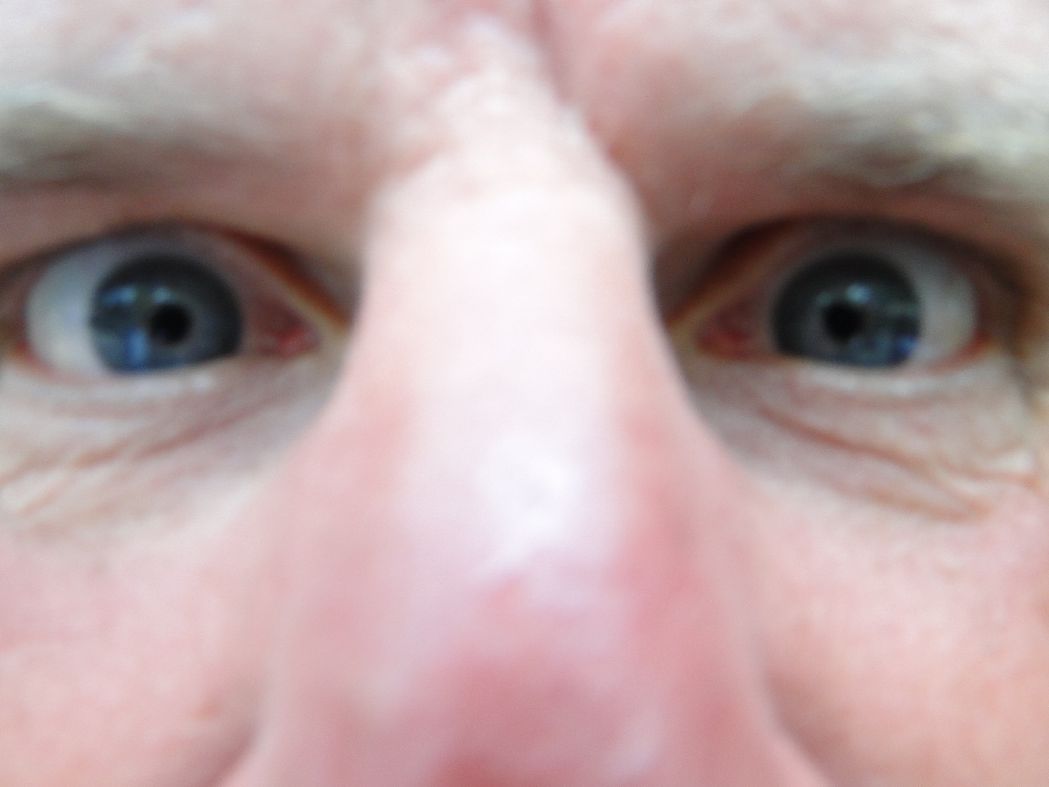 HWK 2012 241.jpg